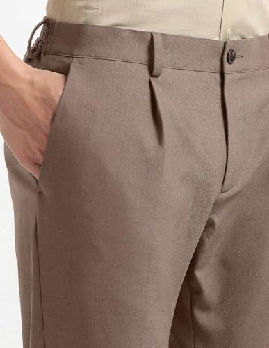 Arrow Newyork Men's Pleated Front Regular Fit Trousers (ANAKTR2334_Dark Brown_34)