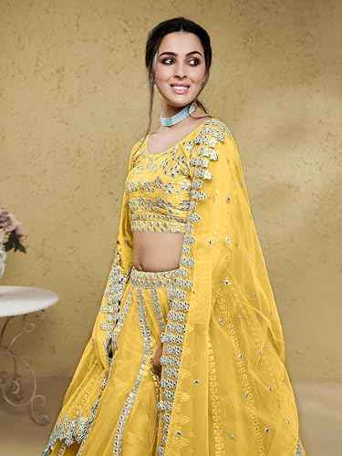 Zeel Clothing Women's Foil Embroidered Net Lehenga Choli With Dupatta (5029-Yellow-Womens-Lehenga-Choli-Latest,Free size)