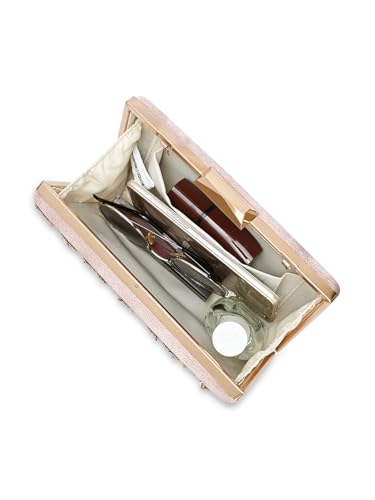 Lavie Signature Women's Ogden Embroyidery Handle Framed Clutch|Ladies Purse |Gift For Women