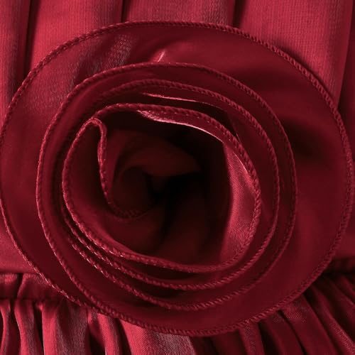Hopscotch Girls Burgundy Sleeveless Floral Applique Party Dress for Ages (3-4 Years)