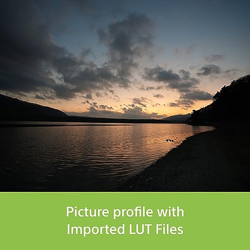 Sony Alpha Zv-E1 Full-Frame Interchangeable-Lens Mirrorless Vlog Digital Zoom Camera (Body Only)| Made for Creators | 12.1 Mp | Artificial Intelligence Based Autofocus | 4K 120P Recording – Black