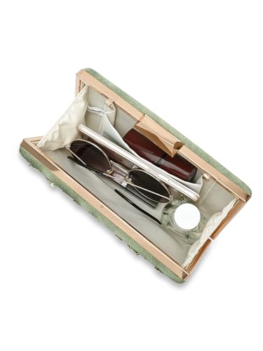 Lavie Signature Women's Ogden Embroyidery Handle Framed Clutch|Ladies Purse |Gift For Women