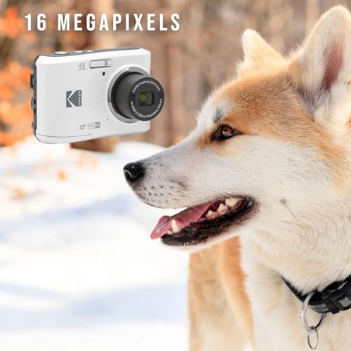 Kodak PIXPRO FZ45 Friendly Zoom Digital Camera (White) Bundle with Folding Storage Travel Case, 128GB SD Class 10 UHS-I U1 V10 Full HD Memory Card, and Procell AA (4-Pack) (4 Items)