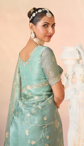 Laxmipati Kesaar Bhog Tissue Organza Floral Embroidered Saree in Pastel Blue Color_N-2953