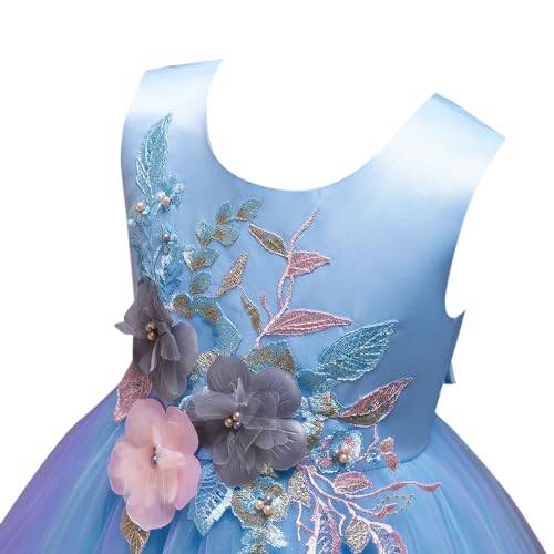 Hopscotch Girls Sleeveless Floral Applique Party Dress In Blue Color for Ages 10-11 Years