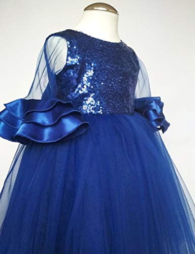 PINK WINGS Baby Girl's Royal Blue Frock (2-3 Years, Blue)