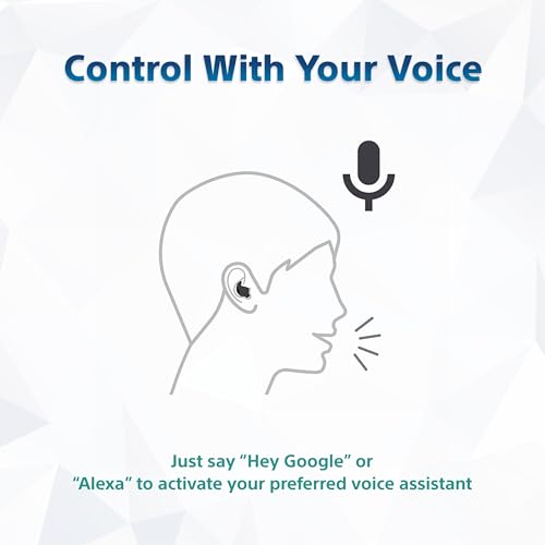 Sony [New Launch] LinkBuds Fit WF-LS910N | Get SRS-XB100 BT Speaker | Active Noise Cancelling Wireless Bluetooth Earbuds, Comfortable Fit with New Supporters -Black