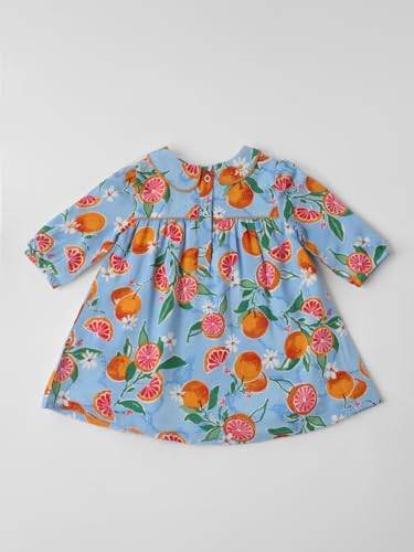 nauti nati Girl's Cotton A-Line Knee-Length Special Occasion Dress (NNNGTW100091CW2_Blue