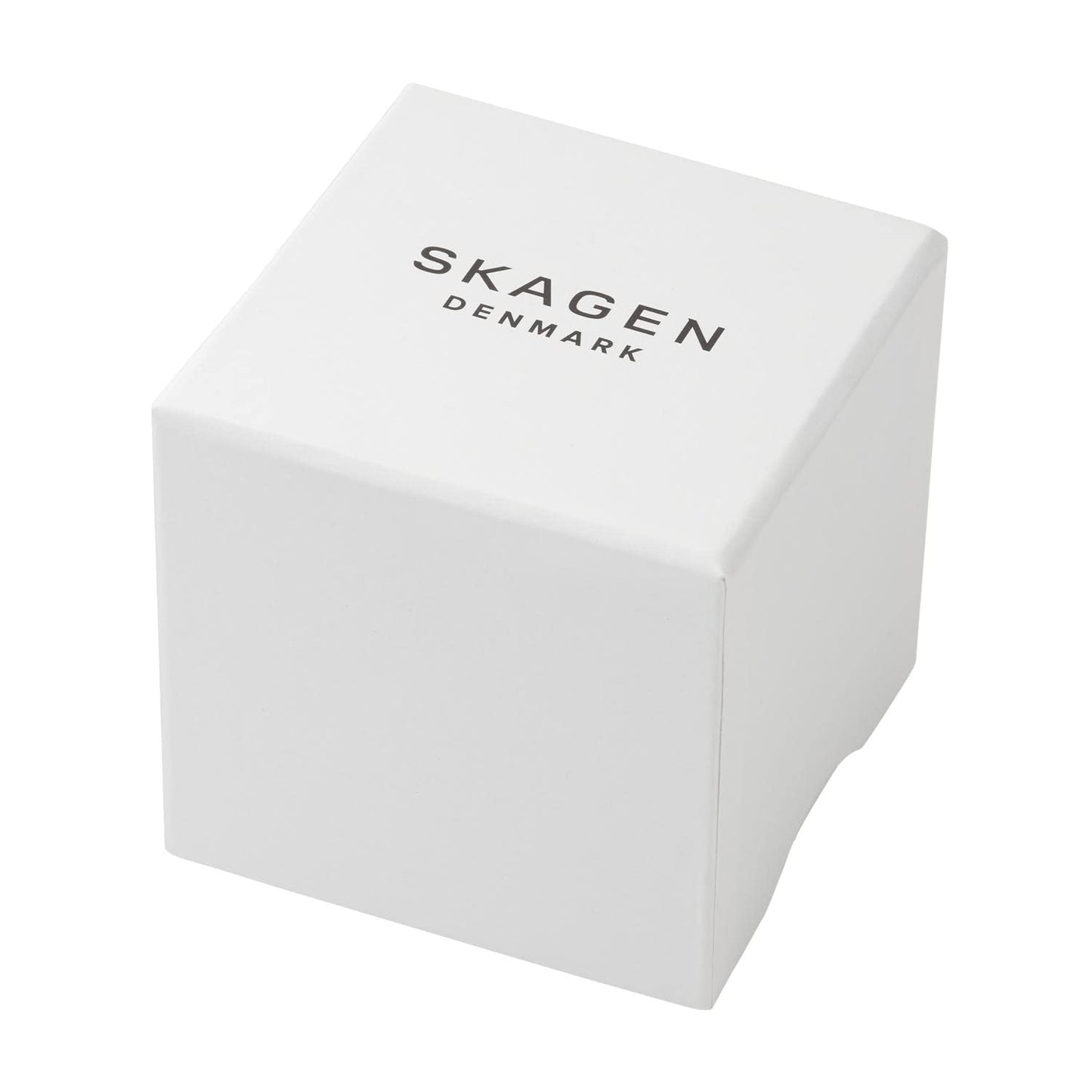 Skagen Women's Stainless Steel Analog Blue Dial Watch-Skw3080, Band Color-Silver