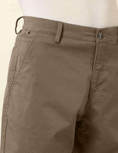 U.S. POLO ASSN. Men's Chino Shorts (USSRT1909_Brown