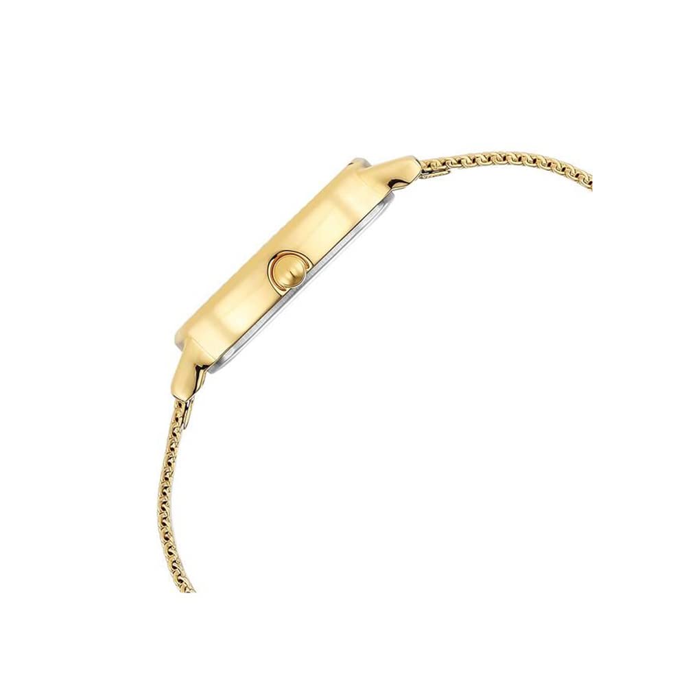 Titan Raga Viva Quartz Analog Champagne Dial Gold Stainless Steel Strap Watch for Women - NT2665YM01