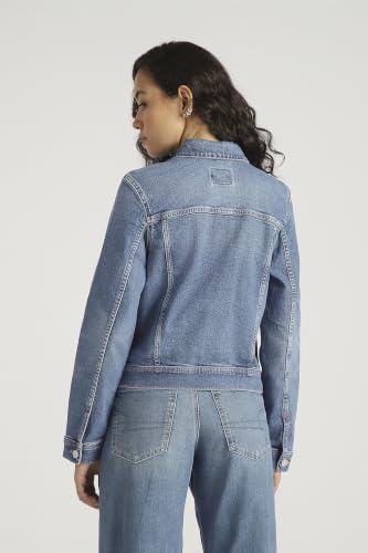 American Eagle Strigid Denim Jacket