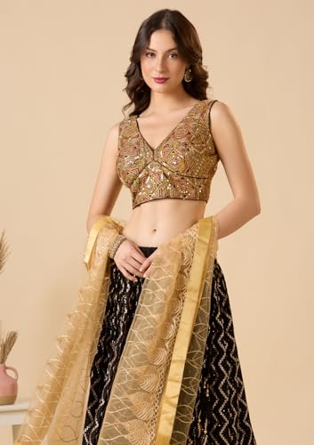 S SALWAR STUDIO Black Embroidered Georgette V Neck Sleeveless Readymade Blouse