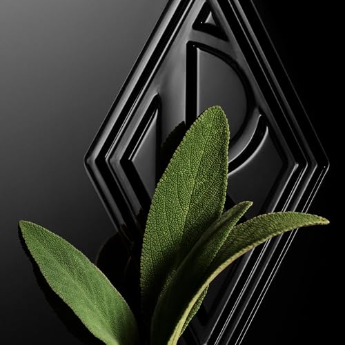 Ralph Lauren - Ralph's Club - Eau de Toilette 75 ml- Men's Cologne - Woody & Aromatic - With Grapefruit, Lavandin, & Patchouli - Intense Fragrance