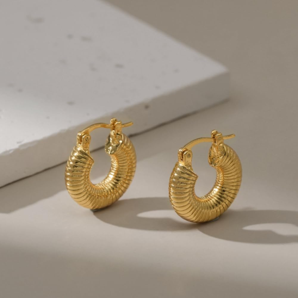 Aaishwarya 18k Gold-Plated Hoop Earrings anti tarnish & waterproof for Women and Girls