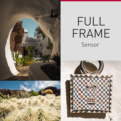 Panasonic LUMIX S9 Full-Frame Mirrorless Camera with S 18-40mm F4.5-6.3 Lens, Compact, Lightweight Body, Perfect for Social Media and Travel, DC-S9NA