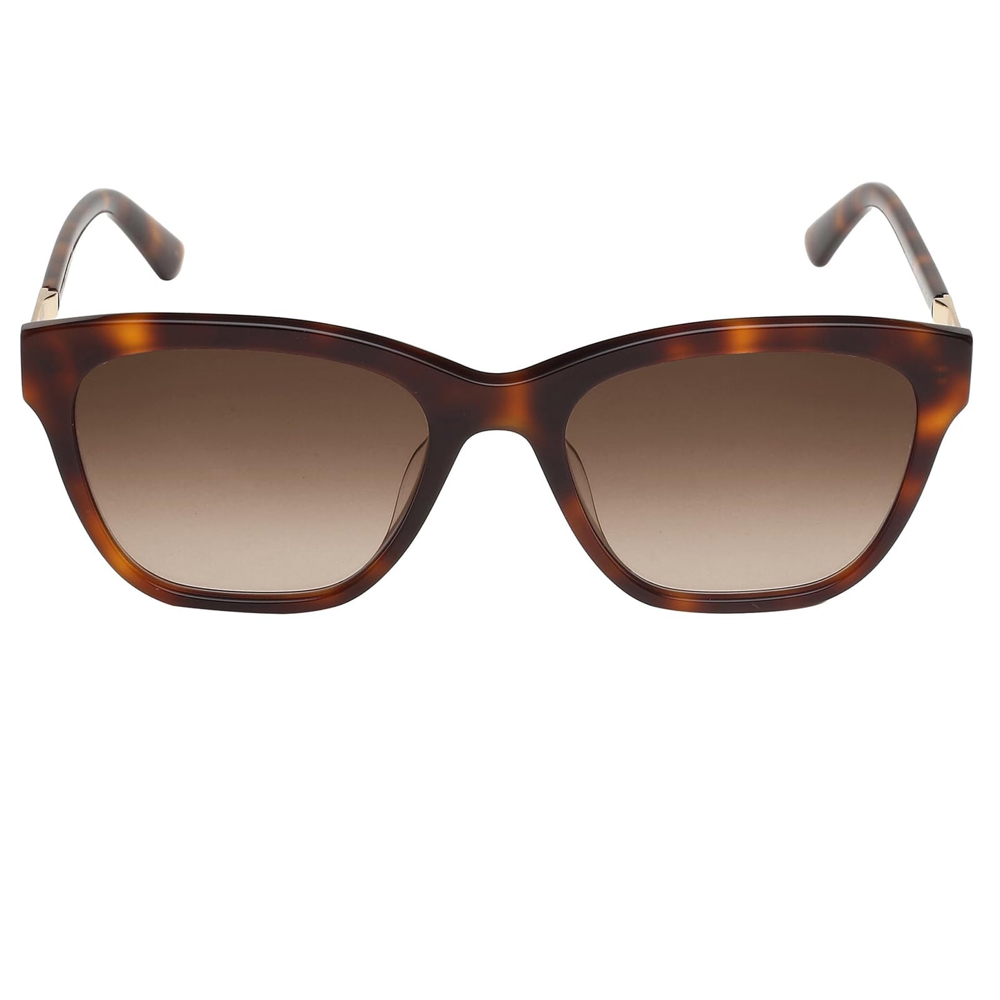 Calvin Klein Gradient Square Women Sunglasses - (Ck 19524 248 55 S |55| Brown Color Lens)