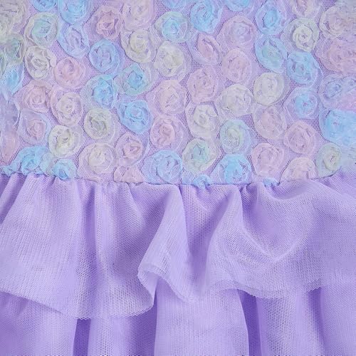 Hopscotch Girls Purple Sleeveless Floral Applique Ruffled Dress For Age (12-18 Months)