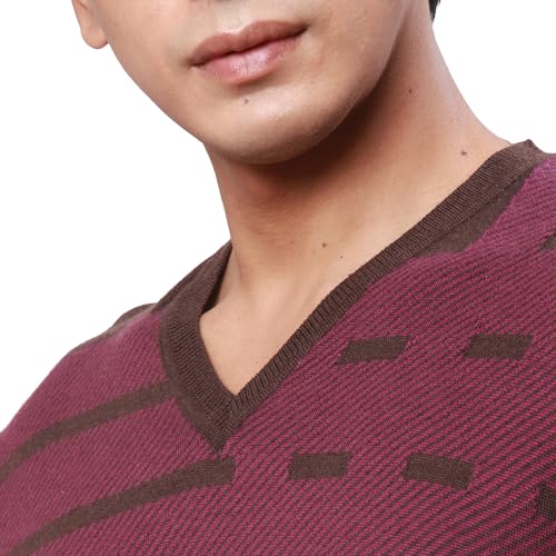 Park Avenue Men's Regular Fit Acrylic Wool Blend Full Sleeve V Neck Checks Pattern Dark Brown Casual Sweater (Size: S)-PCWA00267-O8