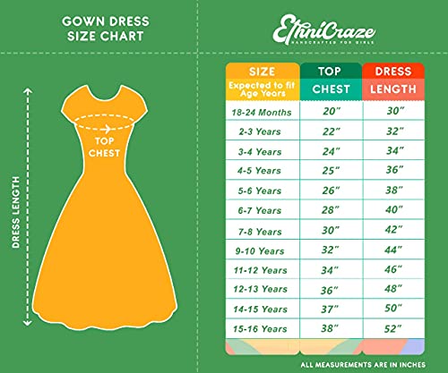 EthniCraze Net Emboidered Kali Pattern Gown (15-16 Years)