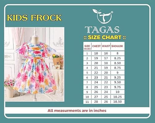 Tagas Girls' Princess Dress | Kids Dress |Dresses birthdaydress for Babygirls |