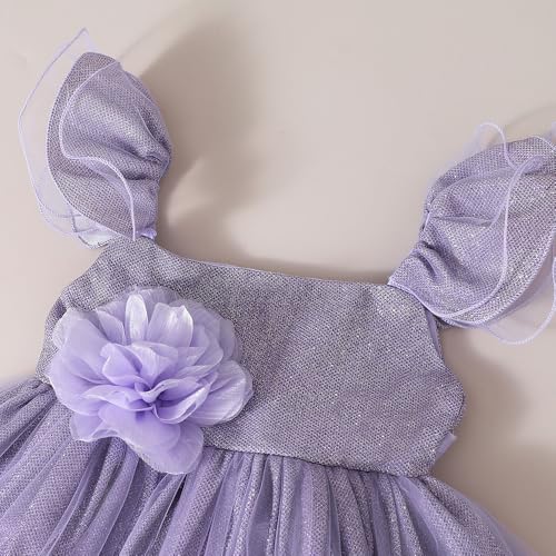 Hopscotch Girls Lilac Short Sleeves Floral Applique Sparkle Party Dress for Age (2-3 Years)