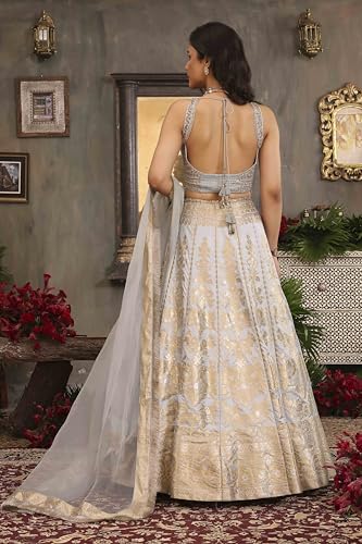 BIBA Women Light Blue Cotton Kalidar Dyed Lehenga Set_38