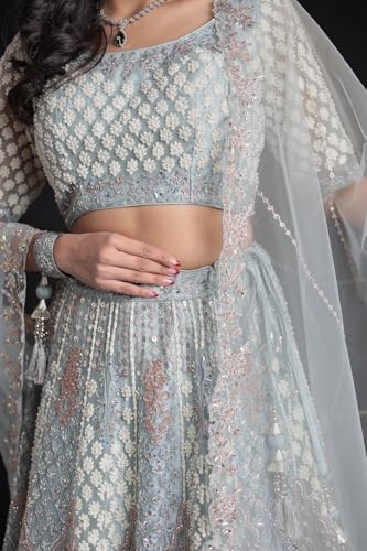 Women's Net Lehenga with Threadwork and Embellished Detailing