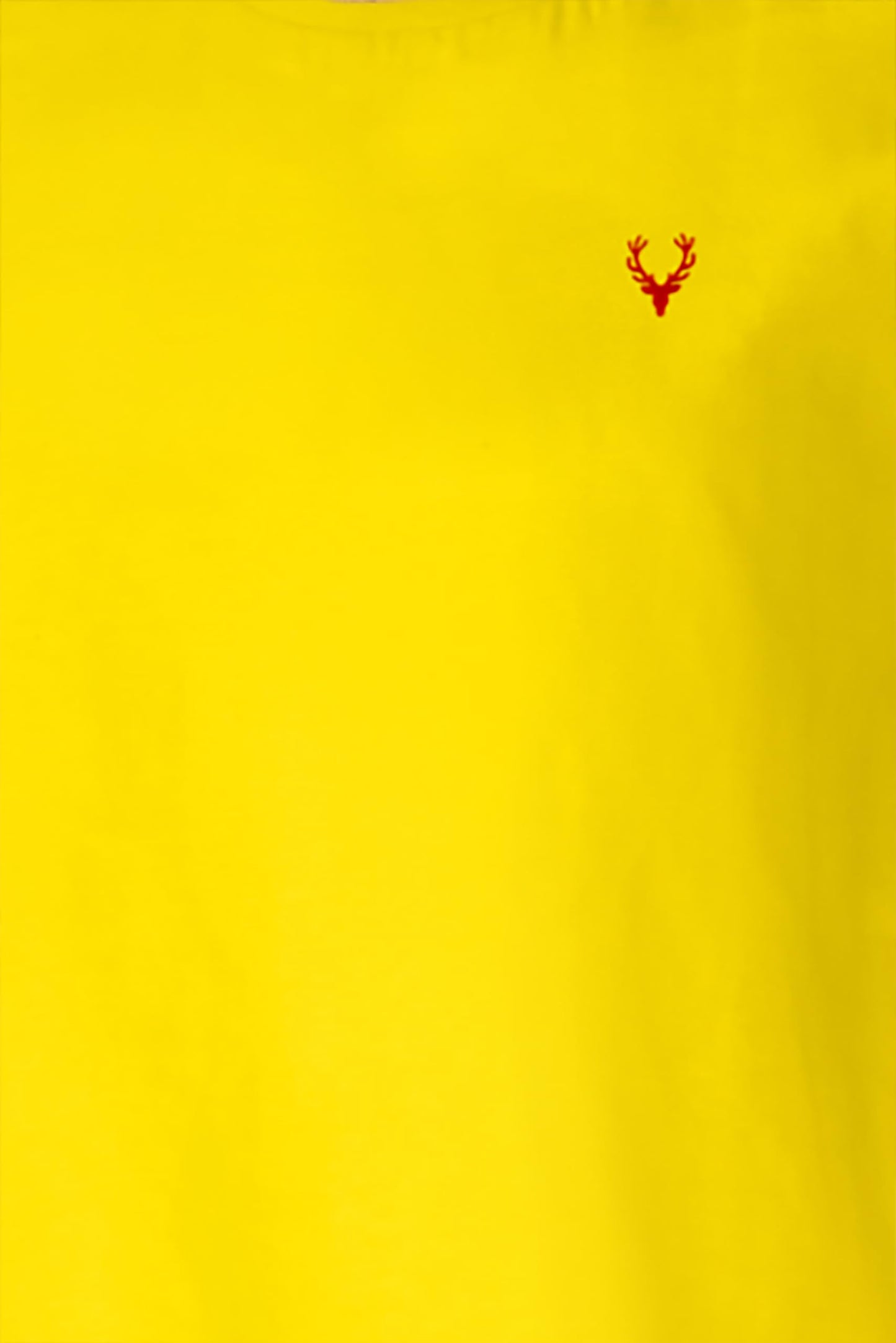 Allen Solly Junior Girl's Plain Regular T-Shirt (AGKCCRGFN85791_Yellow 14 | 13-14 Years)