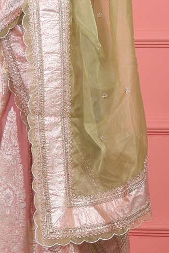 Wishful Women's Pink Embroidered Jacquard Blouse, Flared Lehenga and Dupatta Set (Size: XL)-SP12575-314276