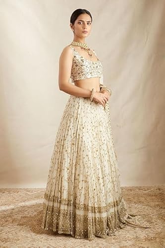 JIHU CULTURE White Georgette Embroidery Work Dupatta For Women (White)