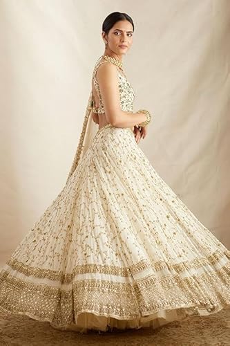JIHU CULTURE White Georgette Embroidery Work Dupatta For Women (White)
