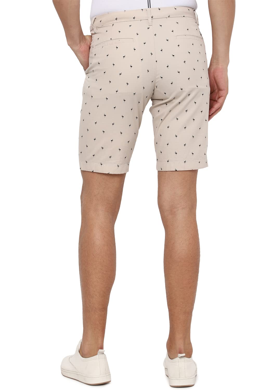 Allen Solly Men's Boyfriend Shorts (ASSRQSMF640540_Peach_34)