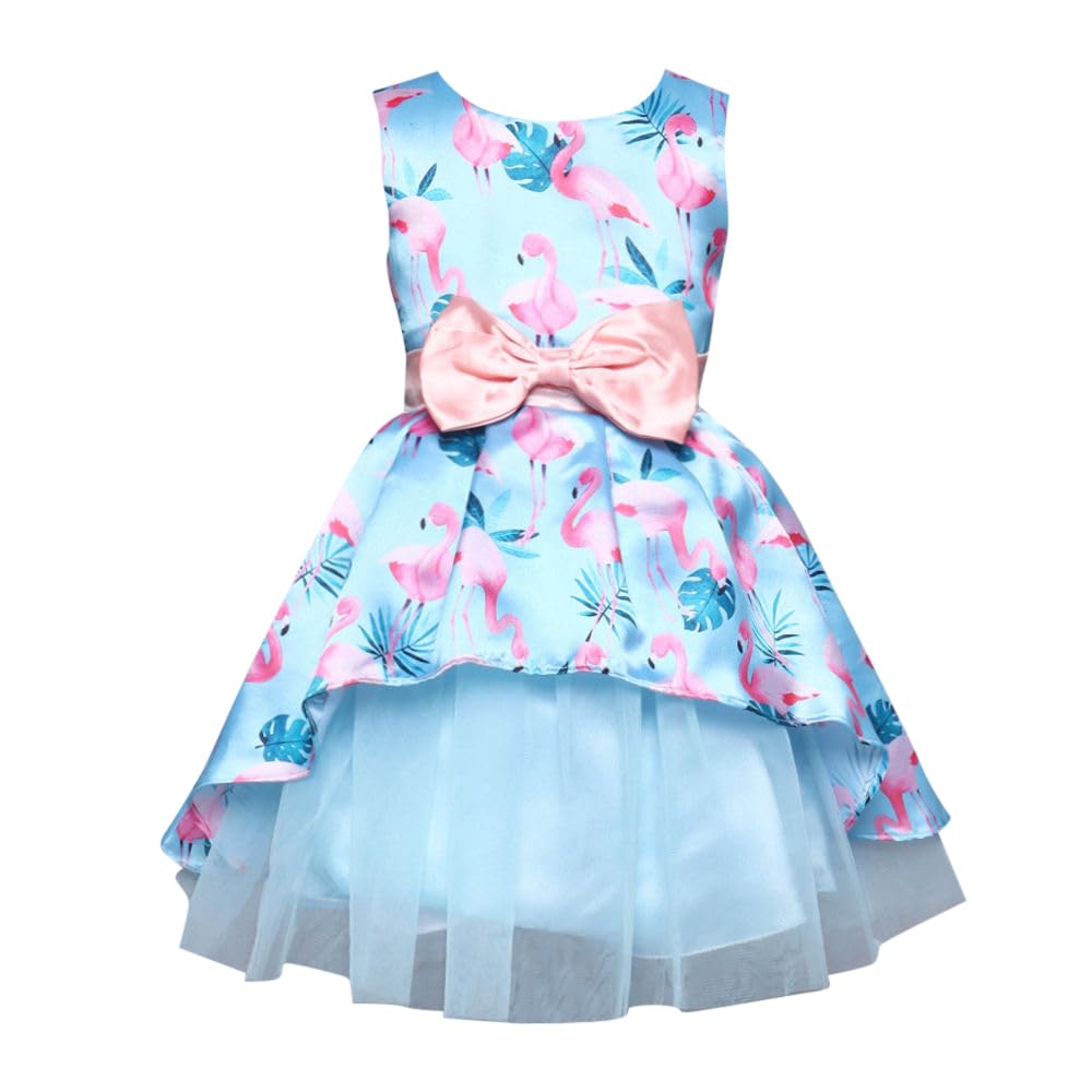 Hopscotch Girls Polyester Sleeveless Bird Print Fit And Flare Maxi Party Dress In Blue Color For Ages 3-4 Years (SRS-2302275)