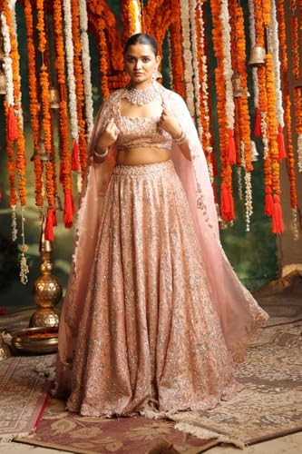 Women's Embellished Organza Lehenga with Sequins and Zardozi work