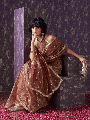 Womanista Women's Net Sequinned Saree (TI6578_Rust)