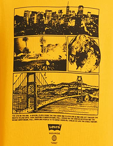 Levi's Men's Cotton Crew Neck Regular Fit Sweatshirt (59638-0163_Goldenrod Yellow_Large)