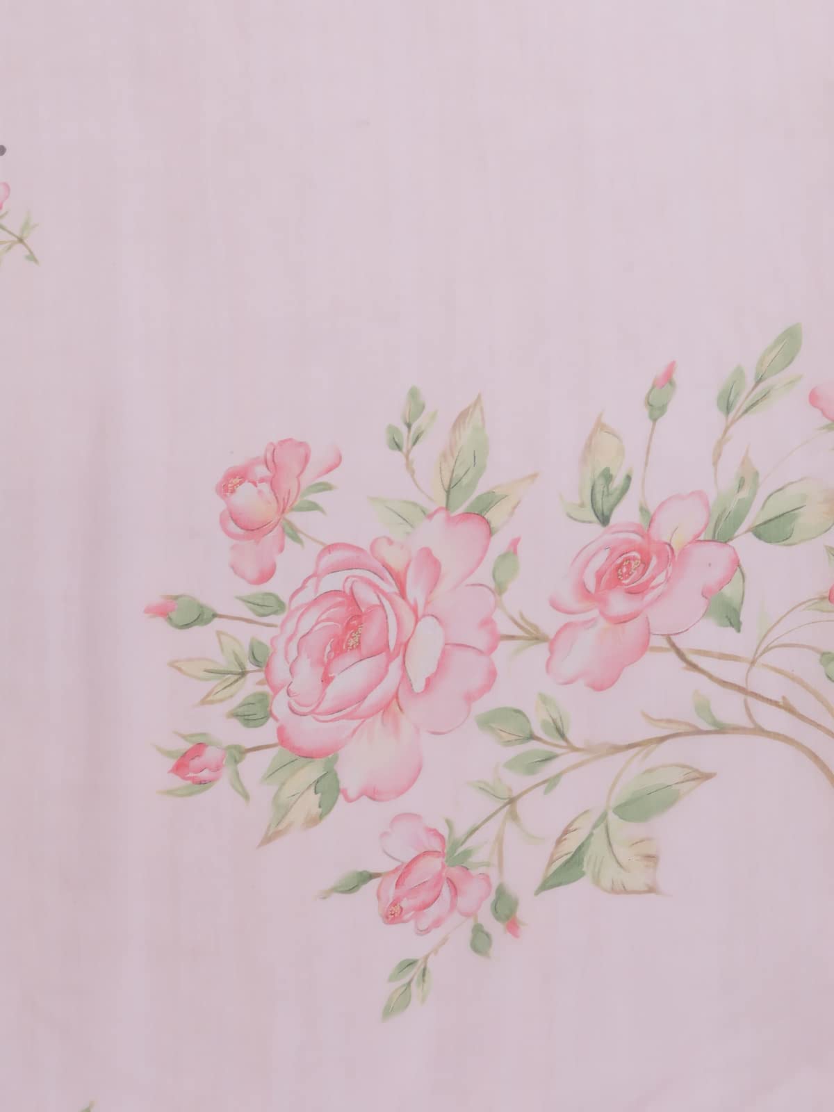 Ahalyaa Women's Baby Pink Colour Chiffon Digital Print Saree (AHSRBL-UN-2)