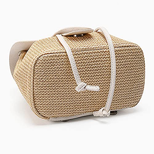 Hoce Straw Backpack Purse Mini Drawstring Flap Backpack for Women Girls Beach (White)