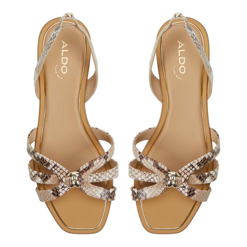Aldo MARASSITA-IN967 Women Brown Multi Flat Sandals