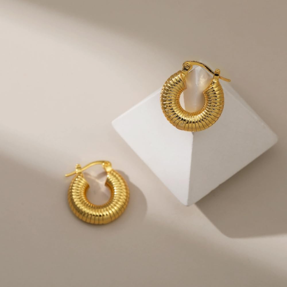 Aaishwarya 18k Gold-Plated Hoop Earrings anti tarnish & waterproof for Women and Girls