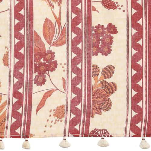 Biba women Rust Cotton Kalidar Kurta Set_42