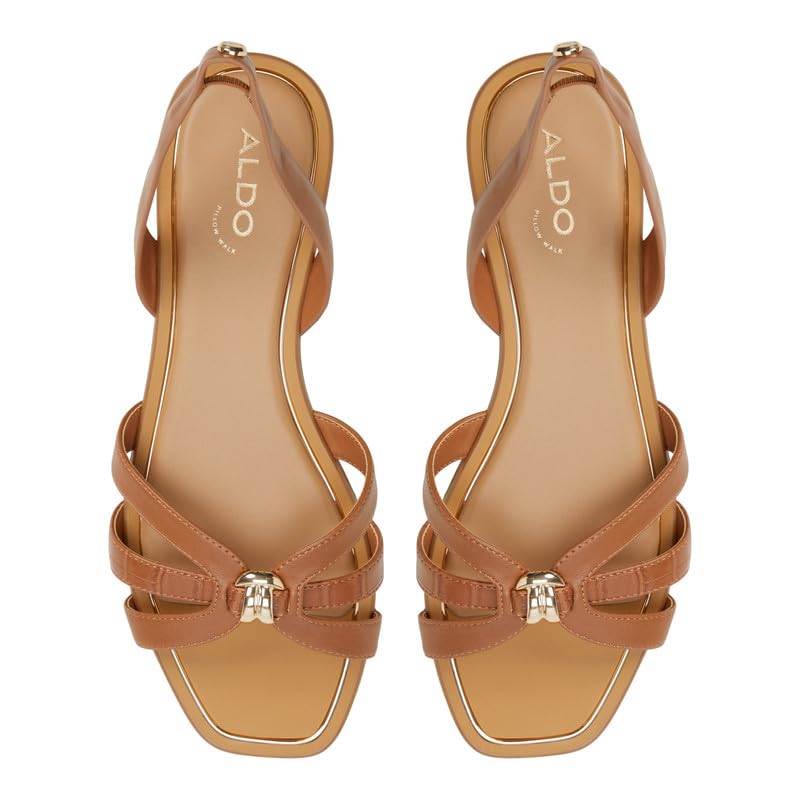 Aldo MARASSITA-IN210 Women Medium Brown Flat Sandals
