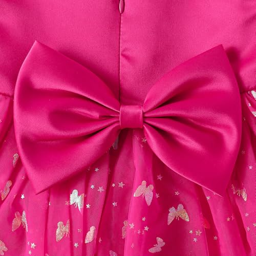 Hopscotch Girls Butterfly Applique Party Dress in Fuchsia Color for Age (4-5 Years)