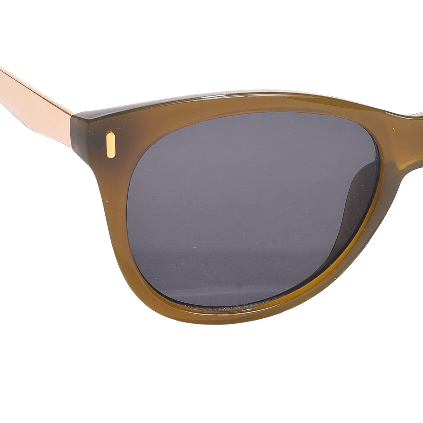 Haute Sauce Brown Wayfarer Sunglasses for Women & Girls | Tinted Black Lens | Goggles, Glasses, Shades, Eyewear, Chasma, Glares for women | accessories for women | Cool, Funky, Stylish ladies sunnies