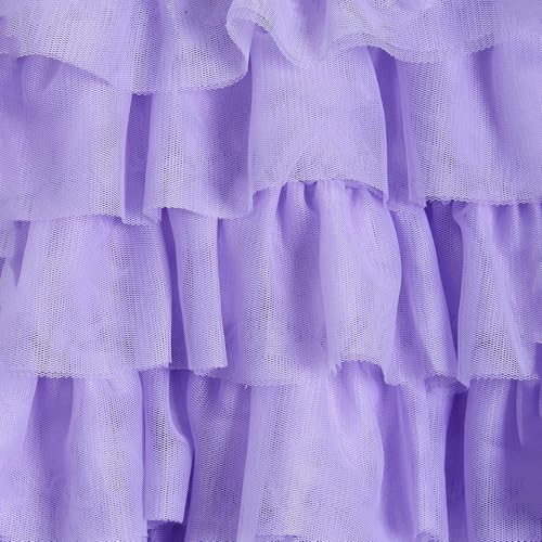 Hopscotch Girls Purple Sleeveless Floral Applique Ruffled Dress For Age (12-18 Months)