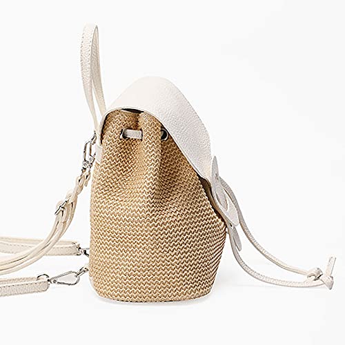 Hoce Straw Backpack Purse Mini Drawstring Flap Backpack for Women Girls Beach (White)