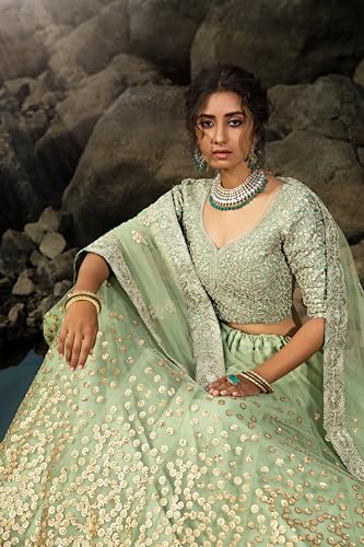 Prasheem Fashion Women's Net Lehenga Choli with Heavy Sequence Work and Dupatta Designer