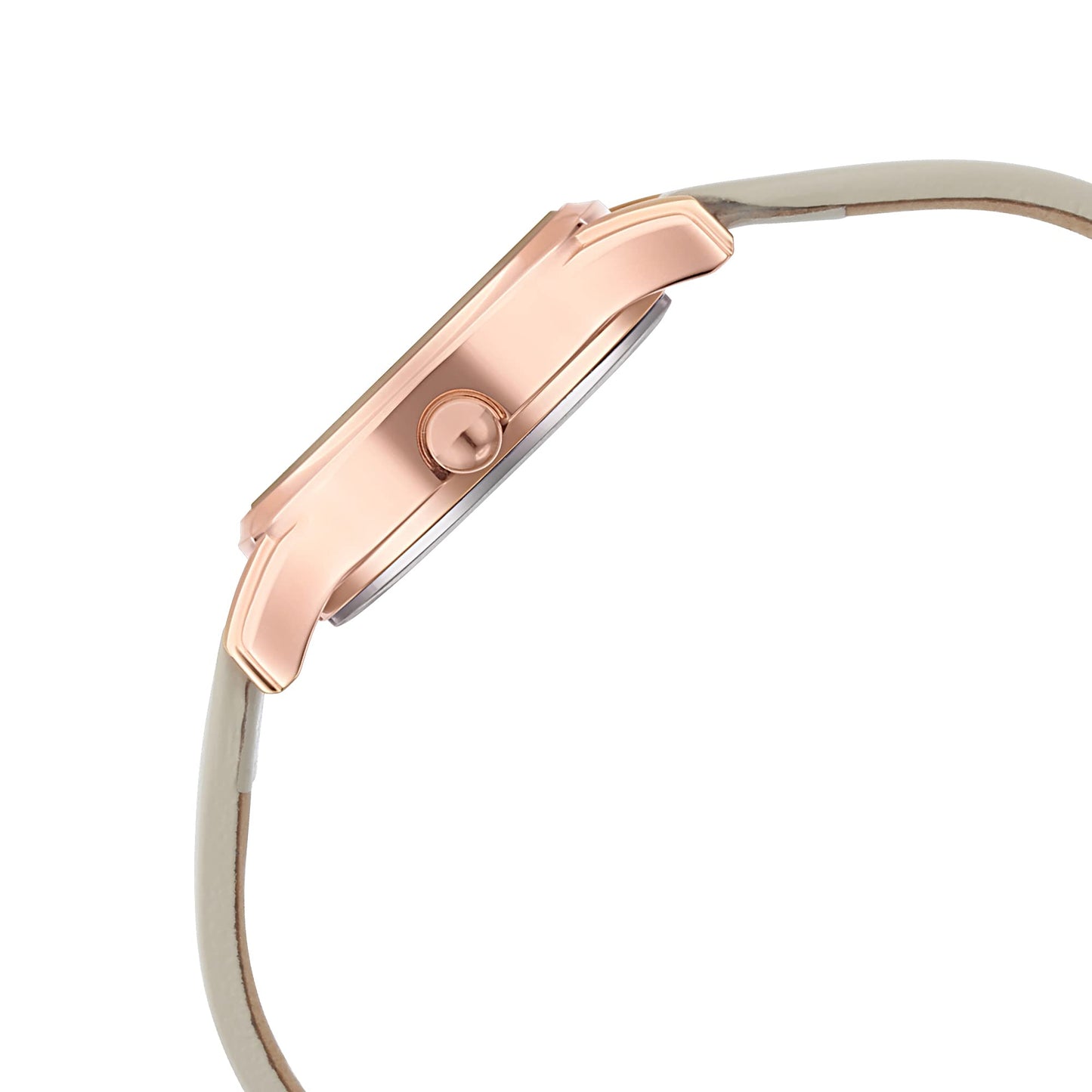 Titan Analog Brown Dial Women's Watch-2656WL01