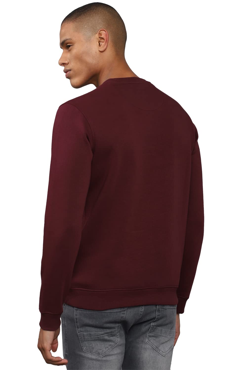 Allen Solly Men Casual Crew Neck, Regular Cotton Sweatshirt Pink